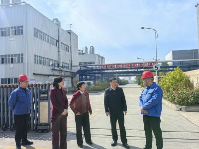 荆门市政协调研金贤达